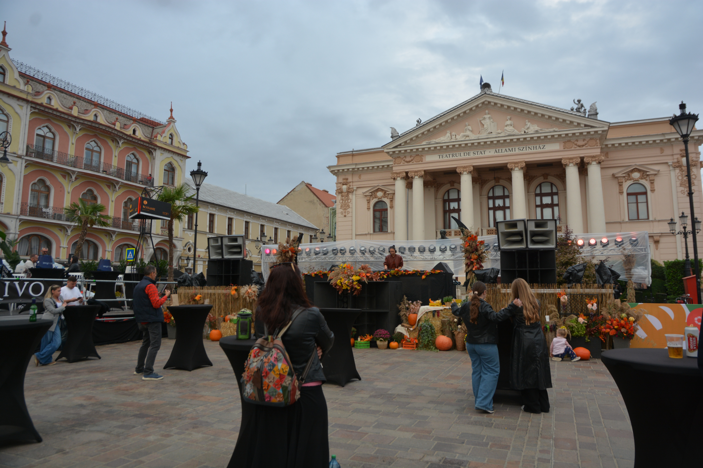 festifall (60)