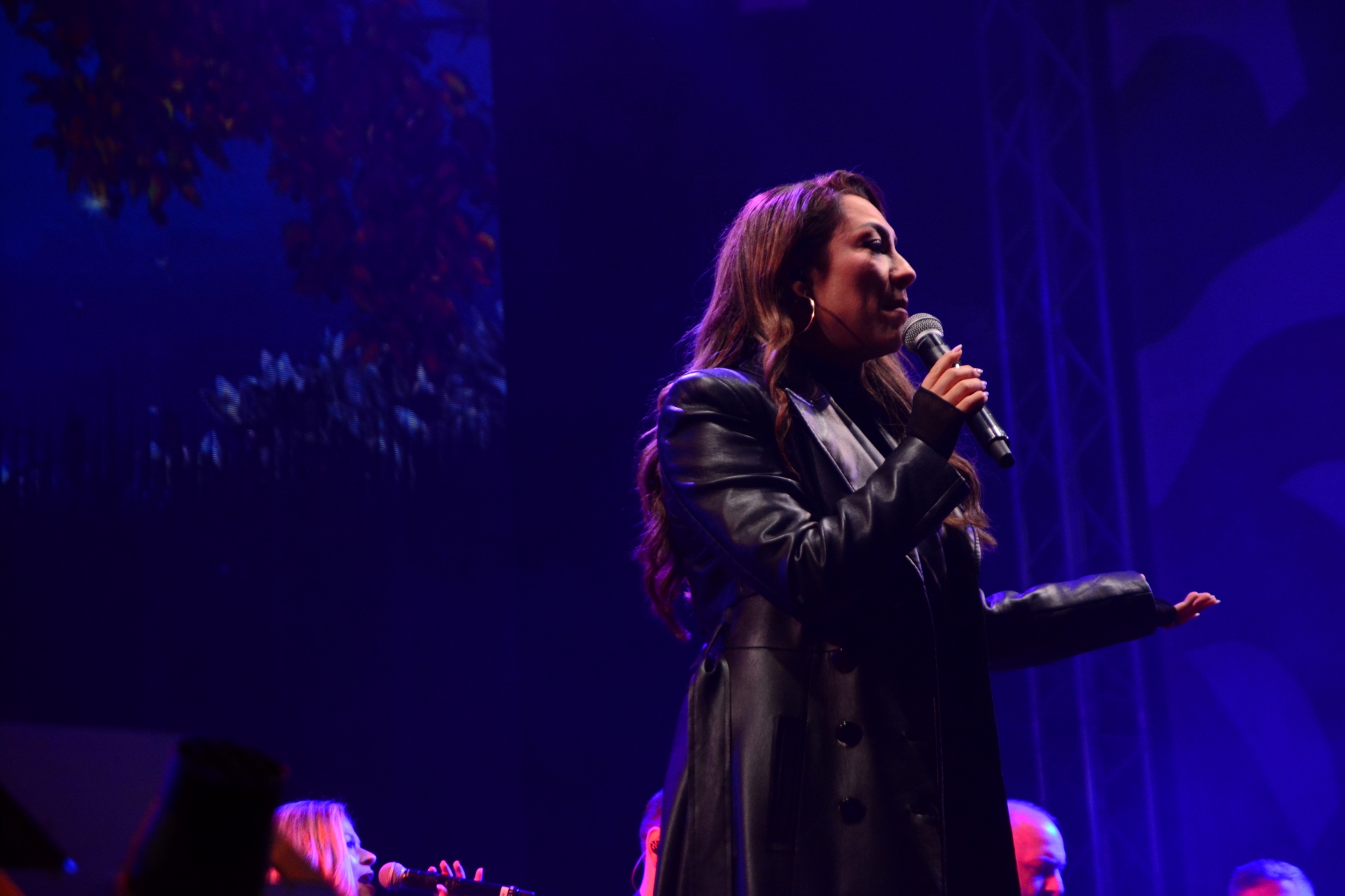 Concert Andra (1)