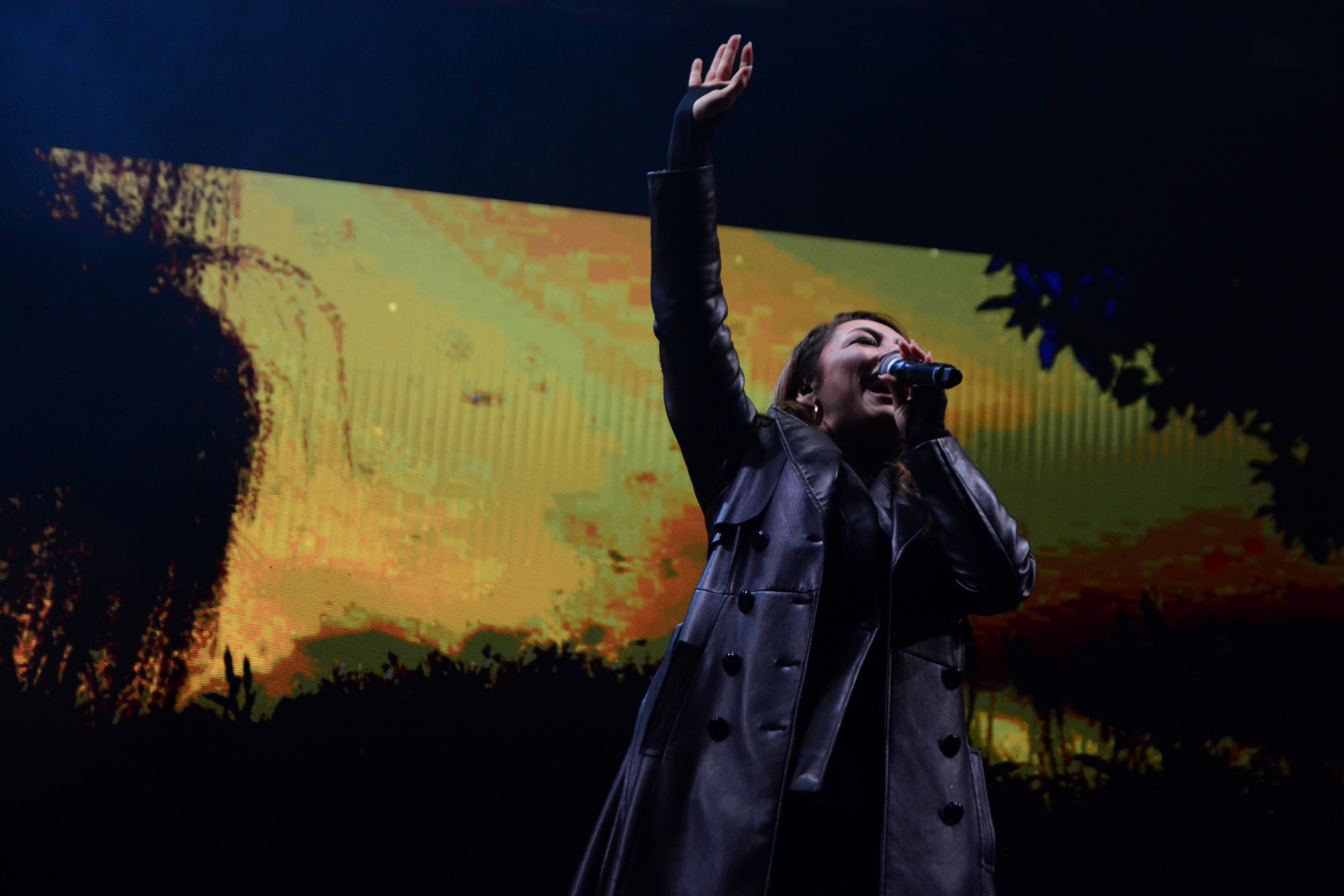 Concert Andra (7)