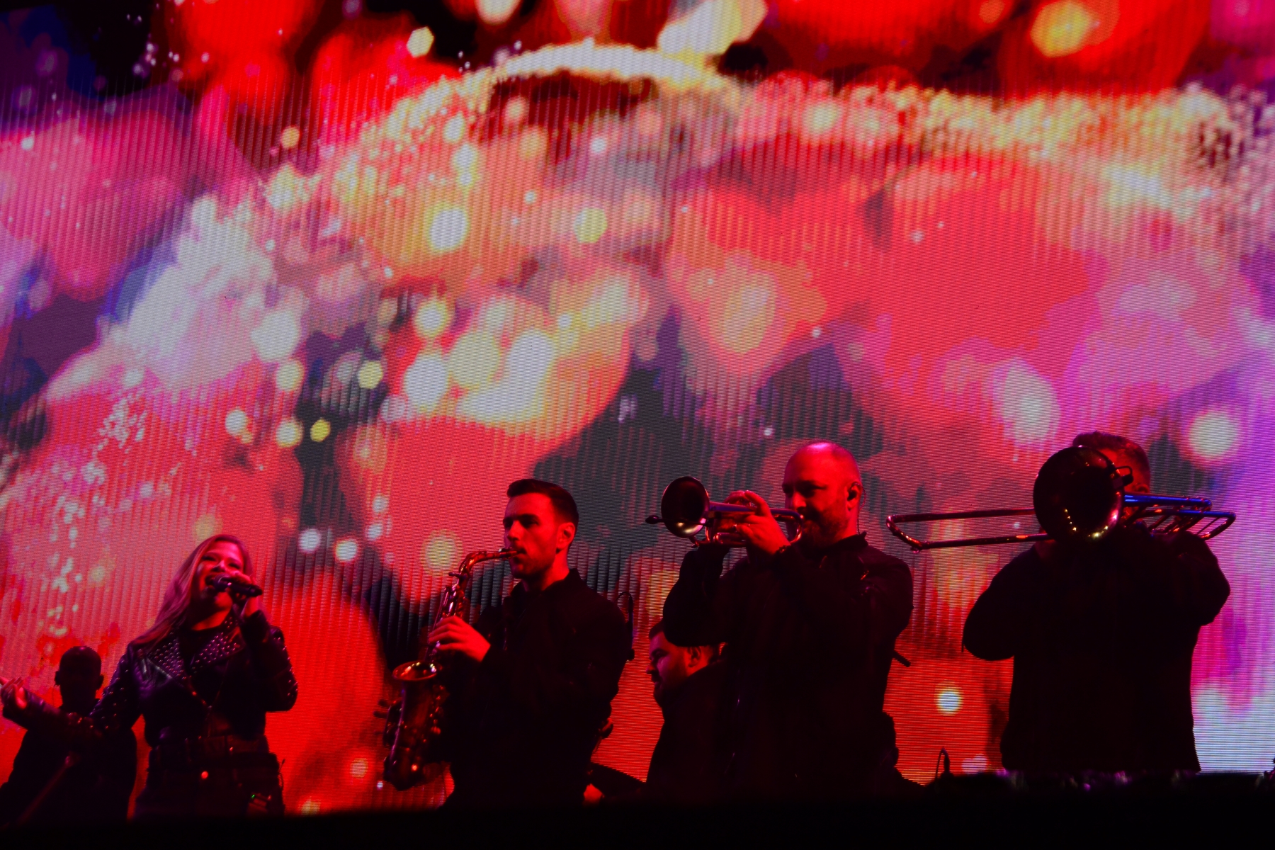 Concert Andra (12)