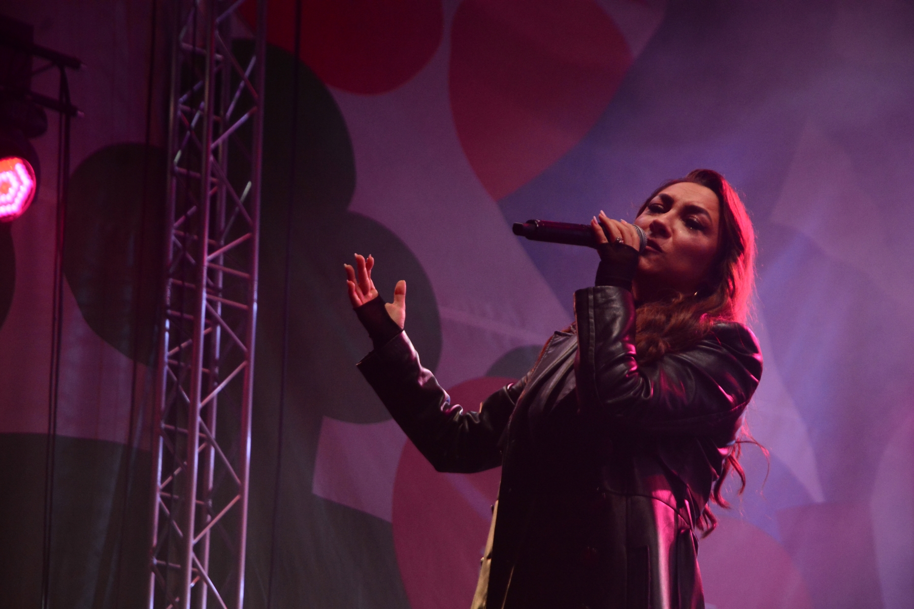 Concert Andra (14)