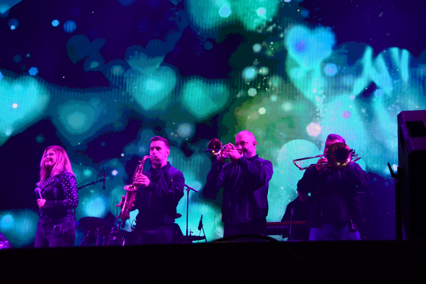 Concert Andra (17)