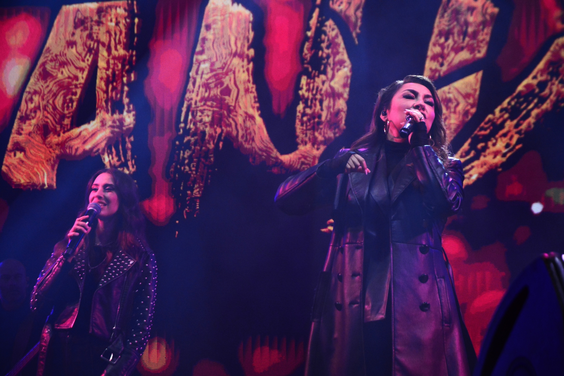Concert Andra (18)