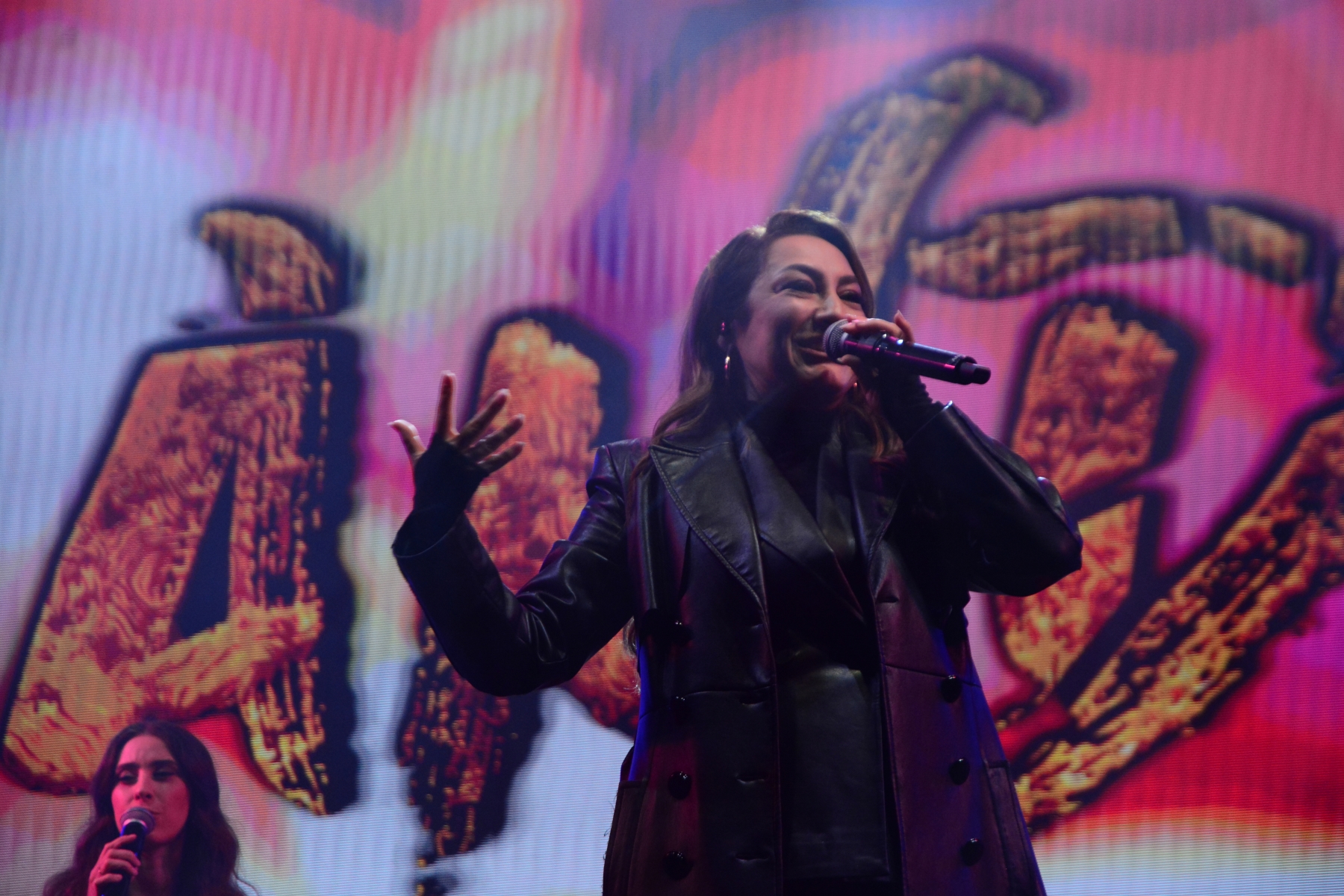 Concert Andra (19)