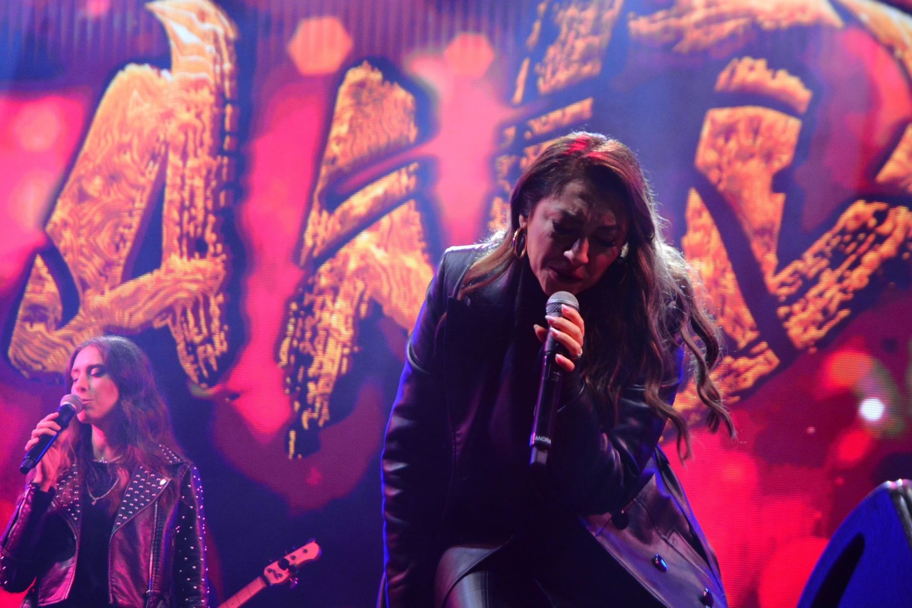 Concert Andra (20)