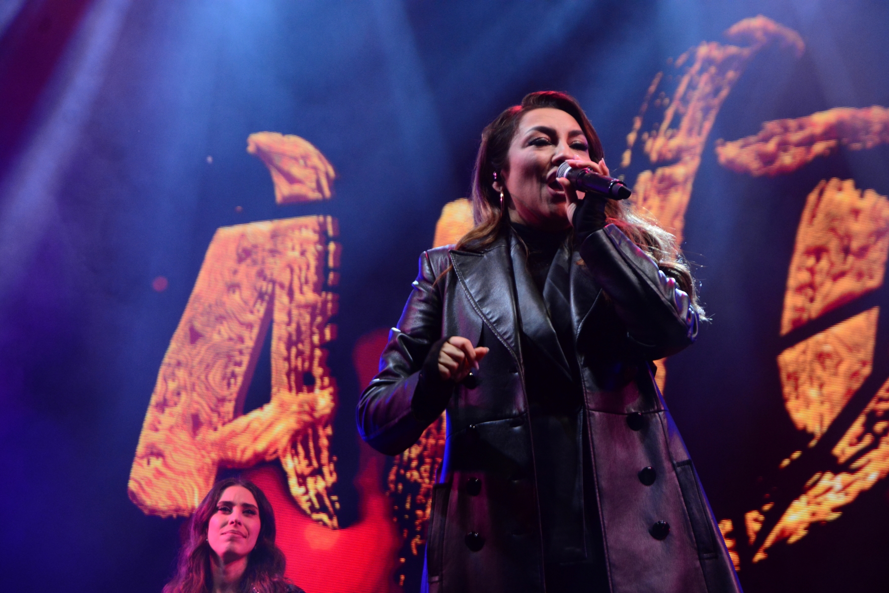 Concert Andra (21)
