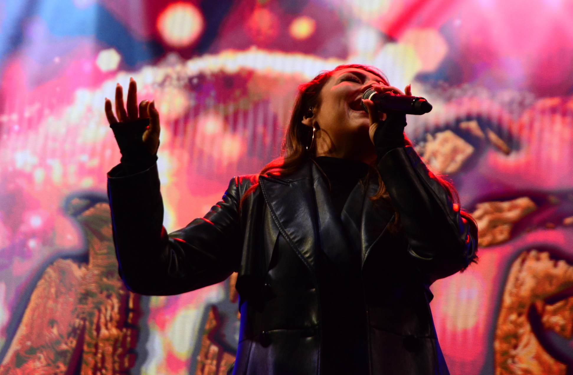 Concert Andra (22)