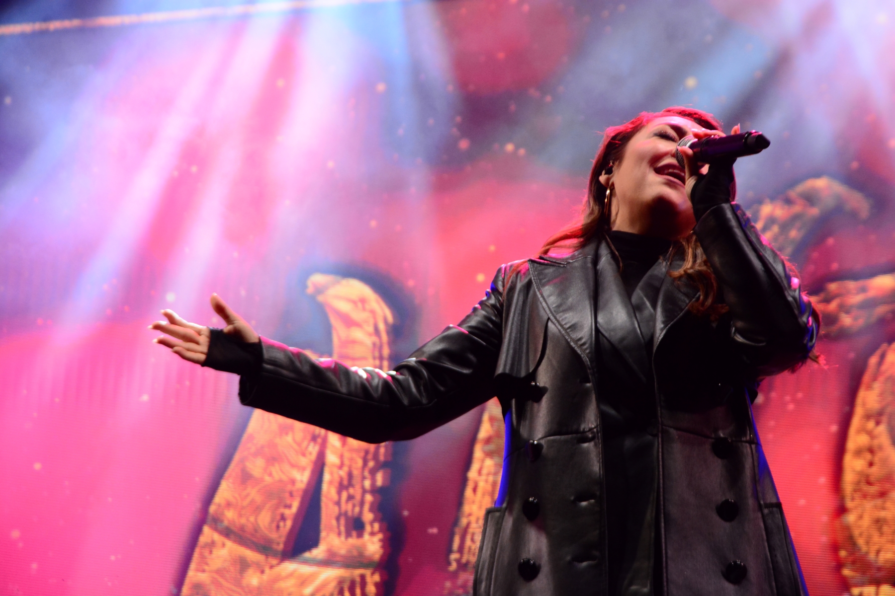 Concert Andra (23)