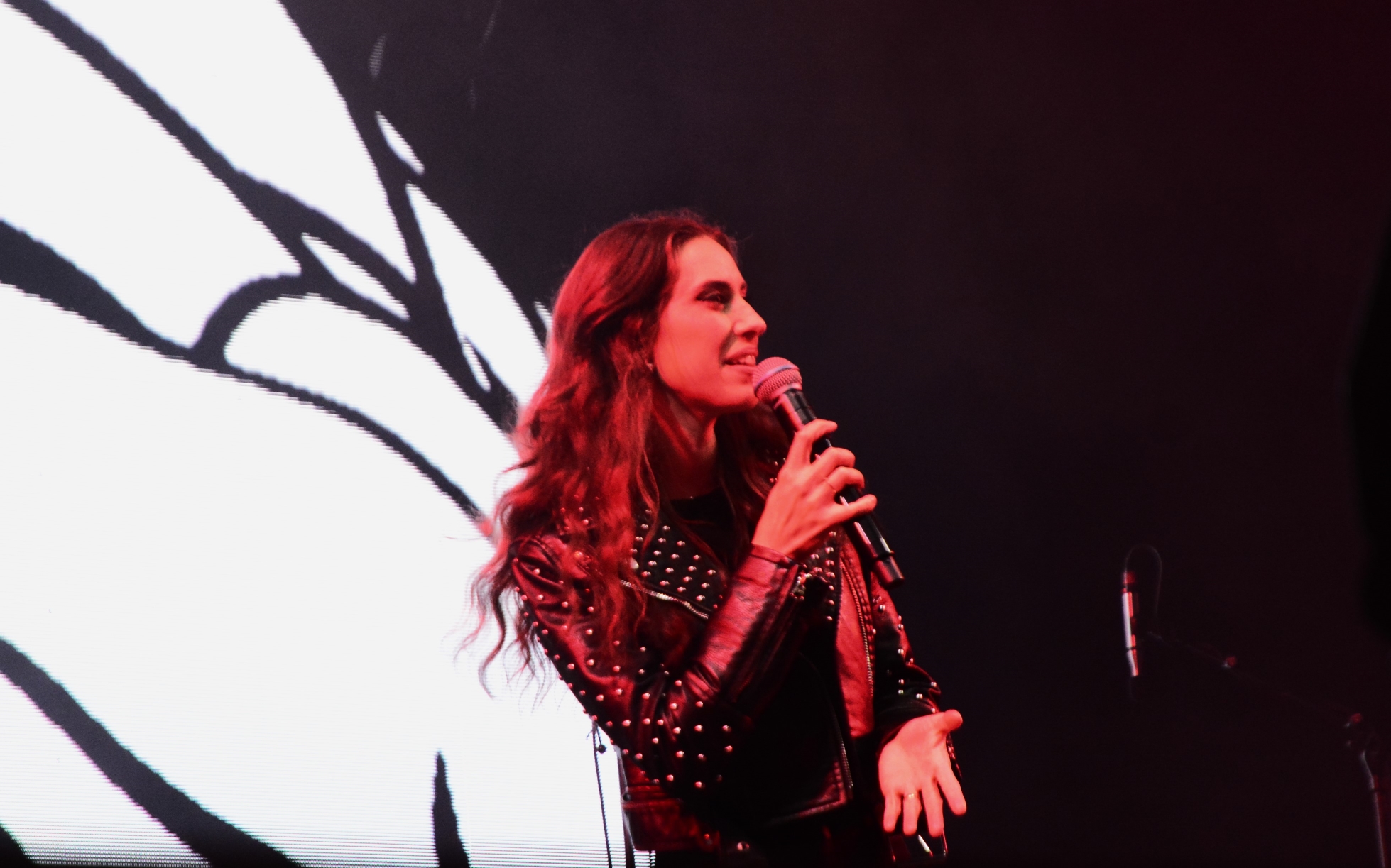 Concert Andra (27)
