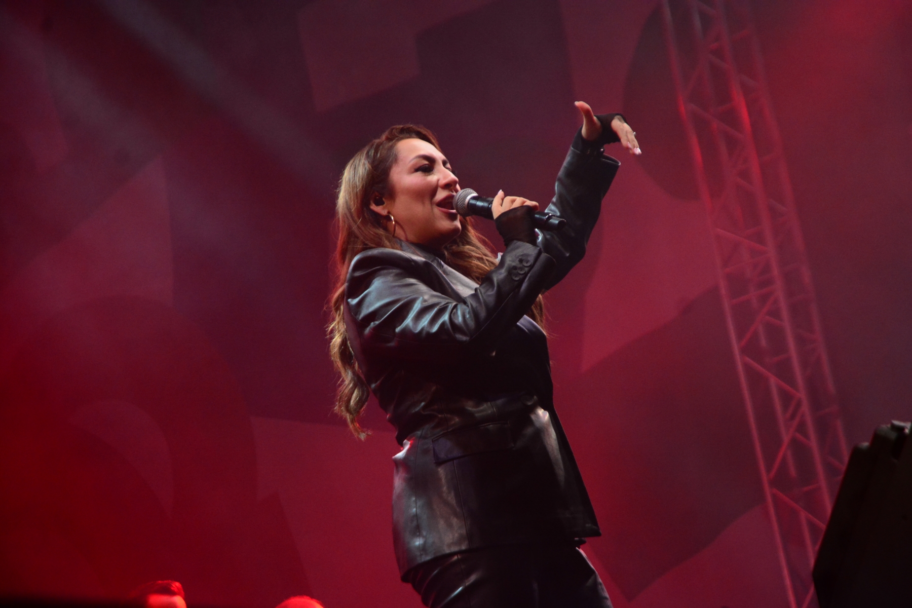 Concert Andra (29)