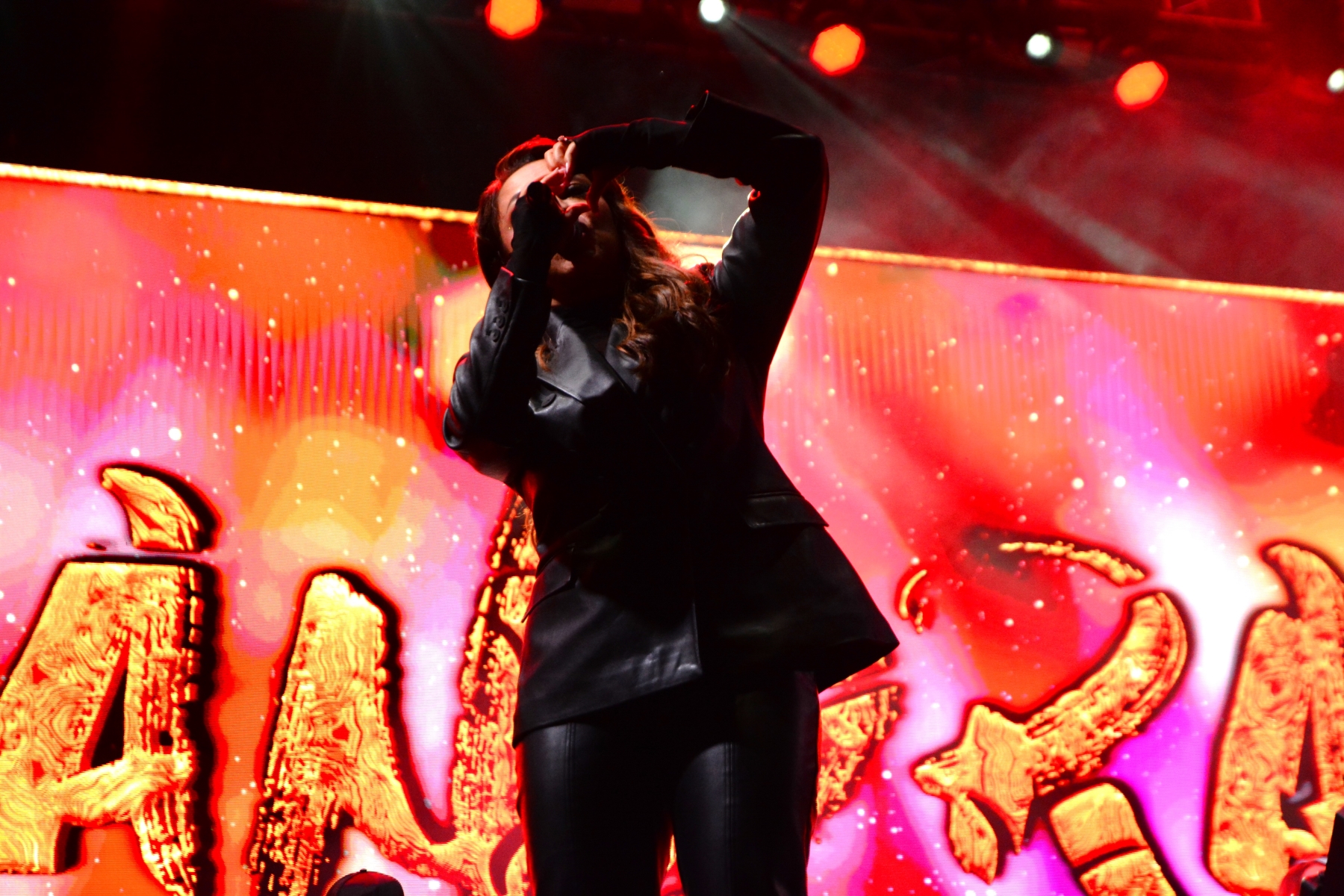 Concert Andra (41)