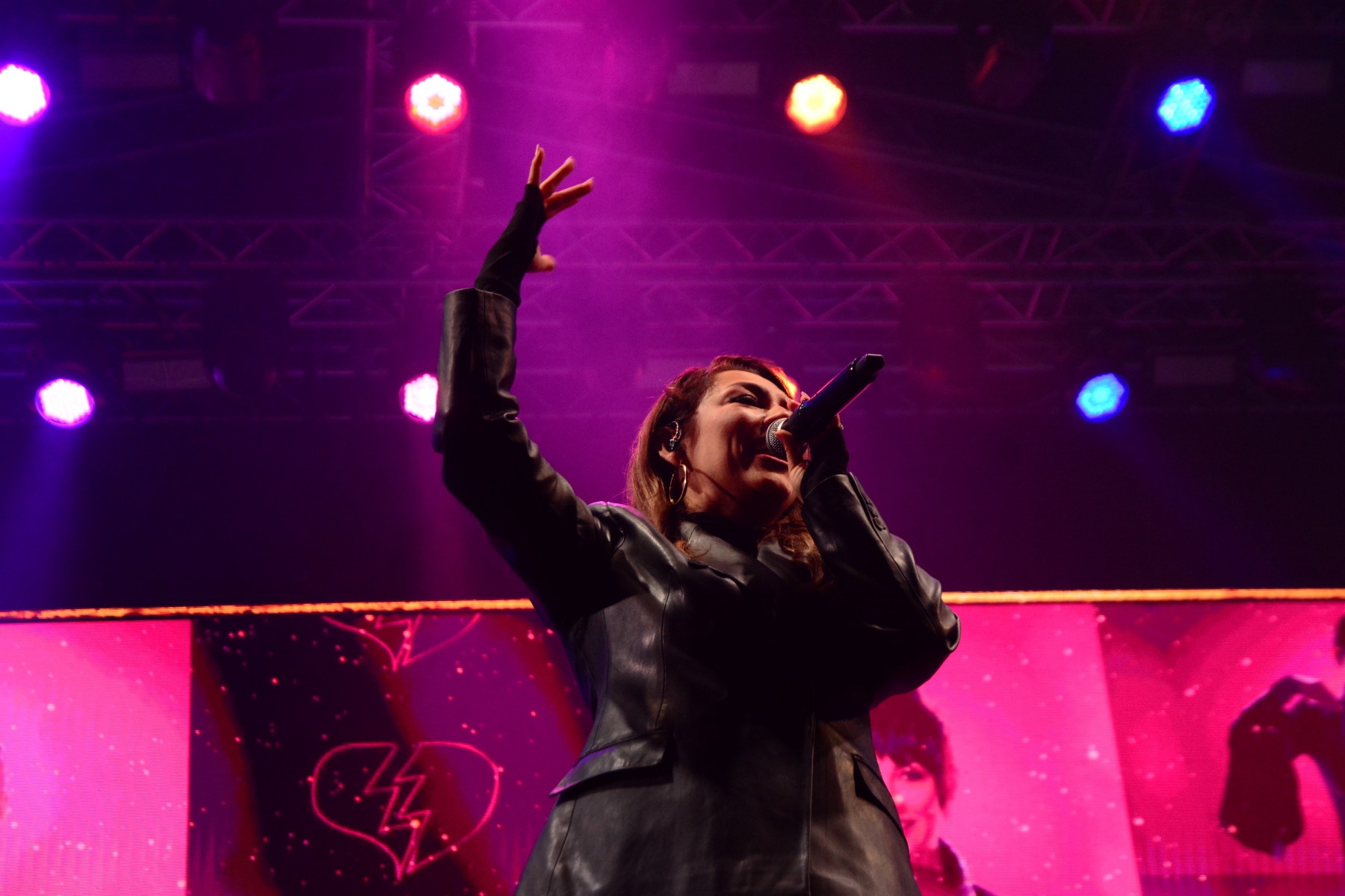 Concert Andra (45)