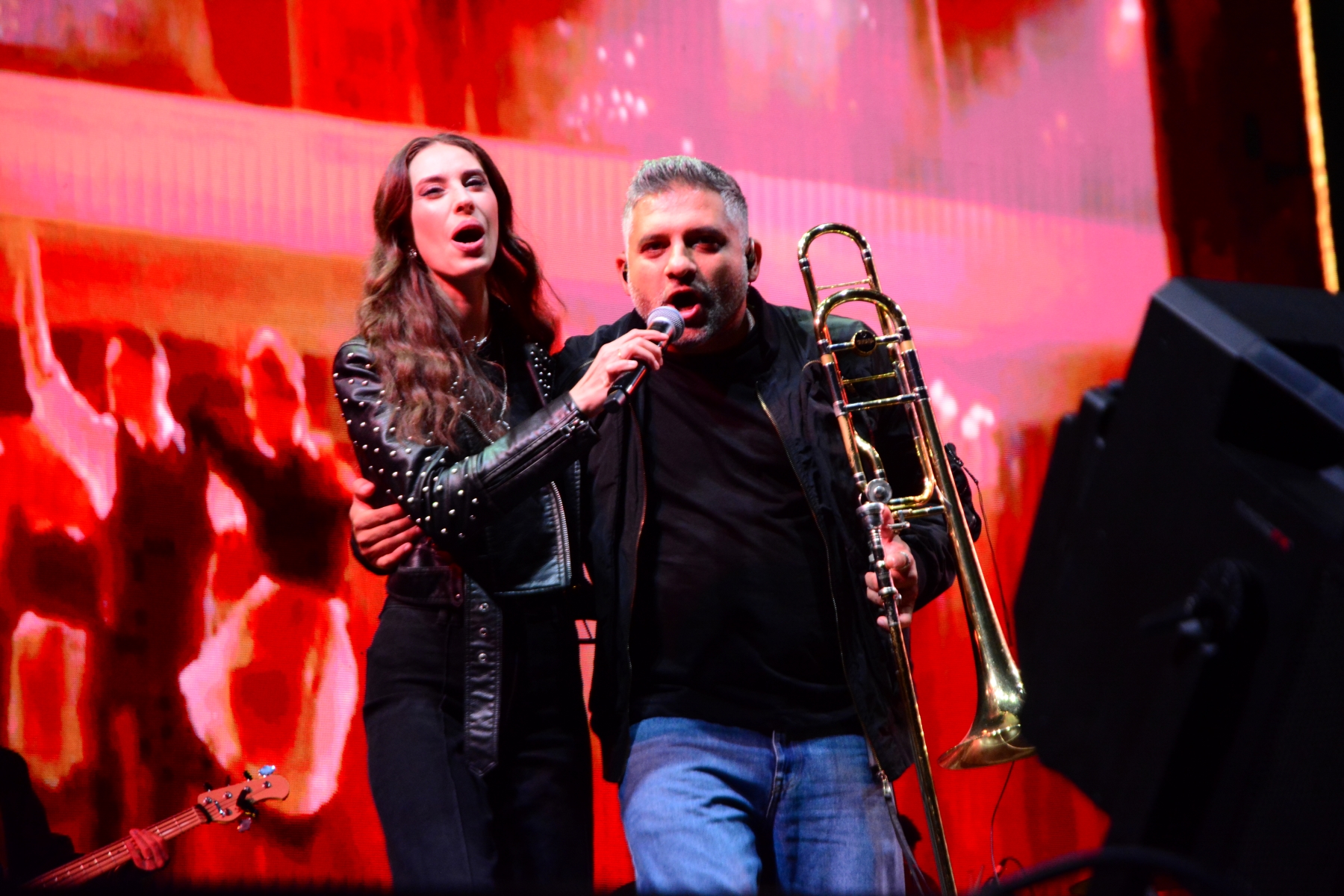 Concert Andra (52)
