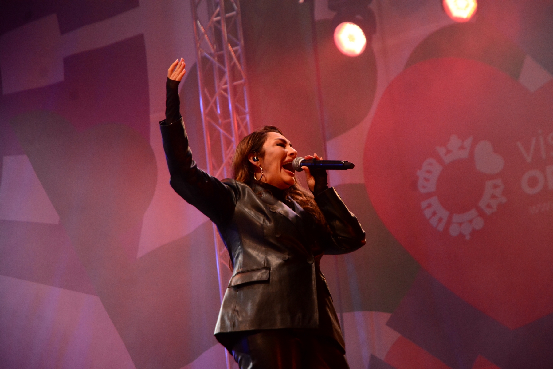 Concert Andra (59)