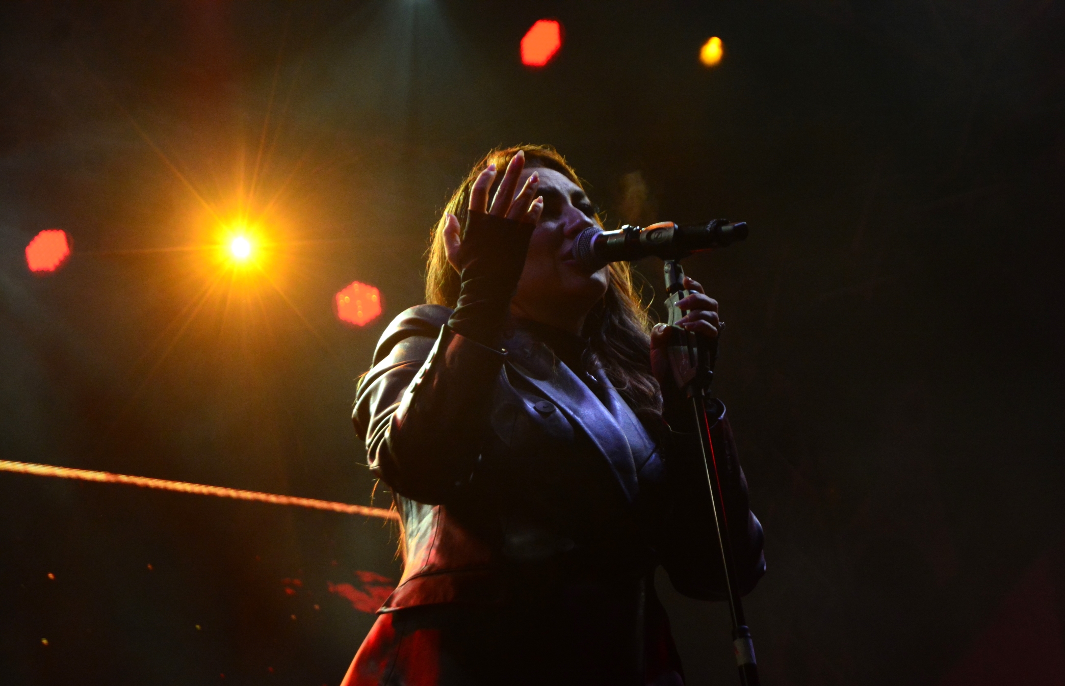 Concert Andra (61)