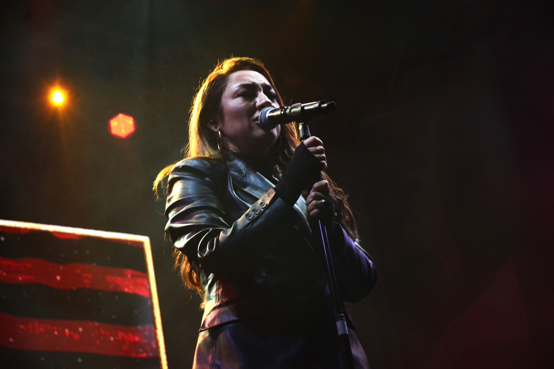 Concert Andra (62)