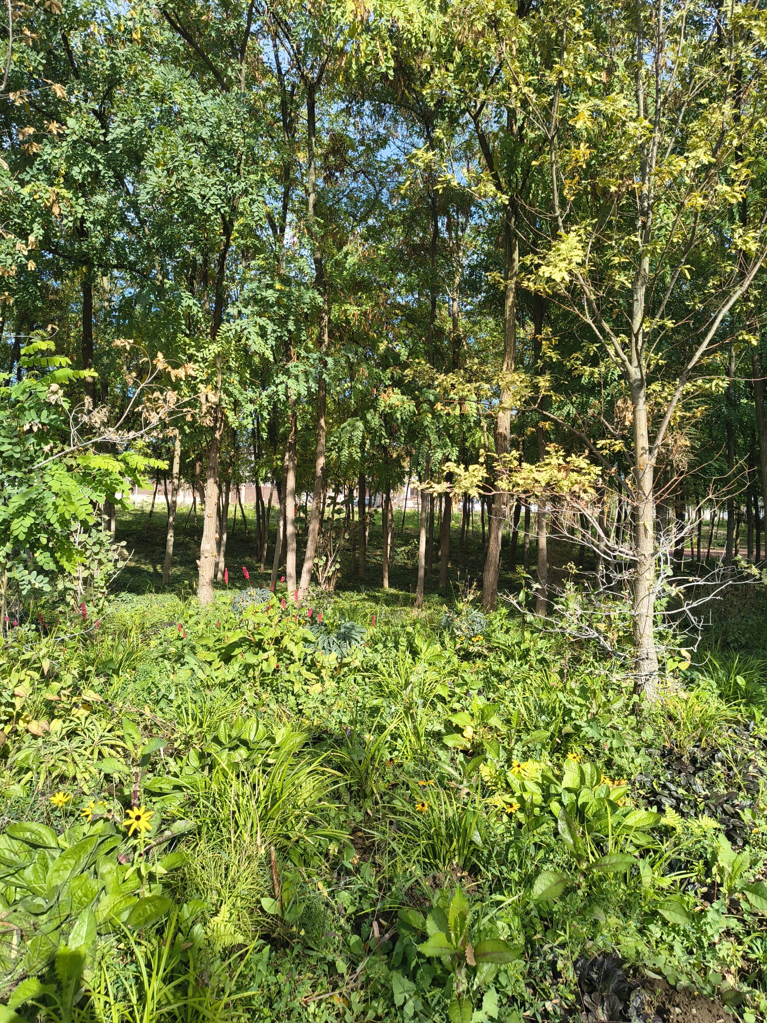 parc-clopoteilor