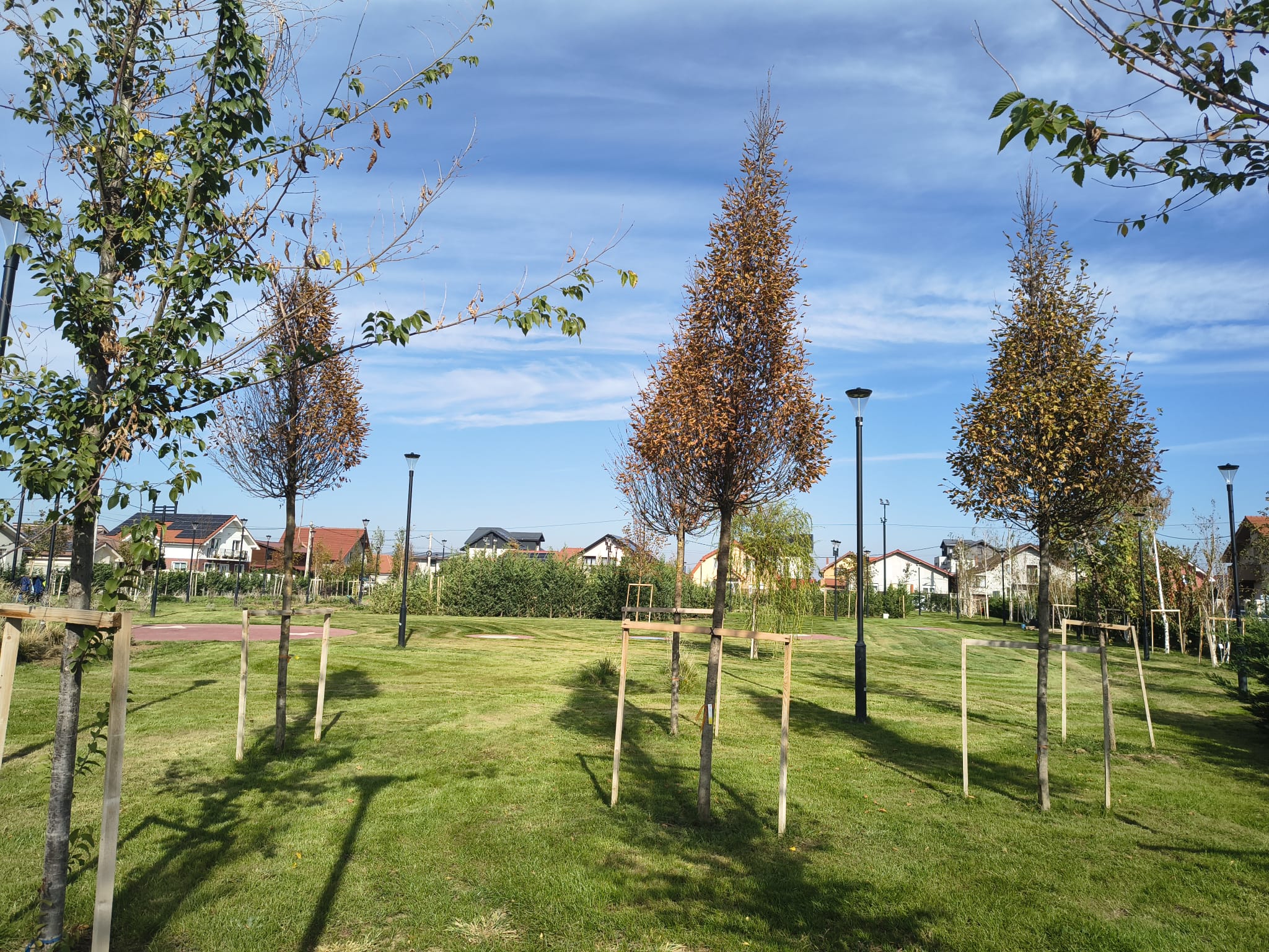 parc-berzei (2)