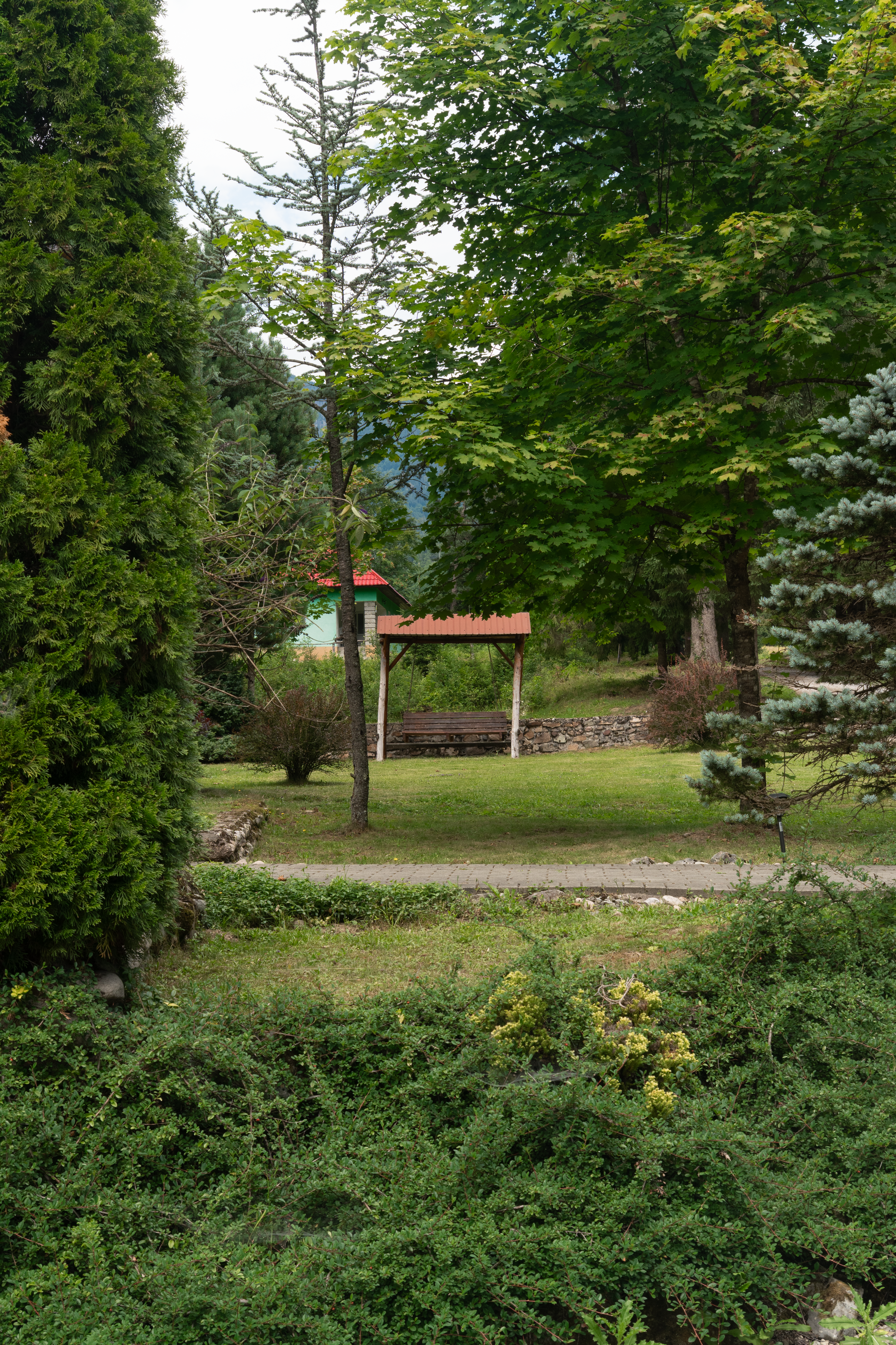editat_38