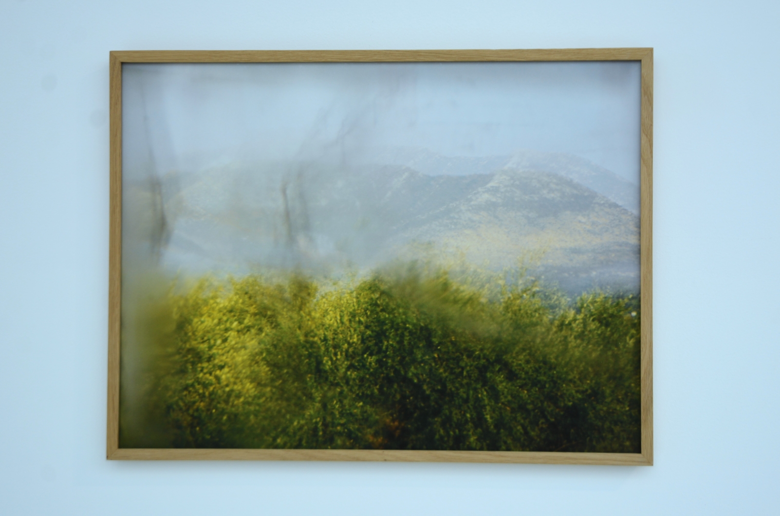 Expo A greenhouse with a view, la NOCA (35)